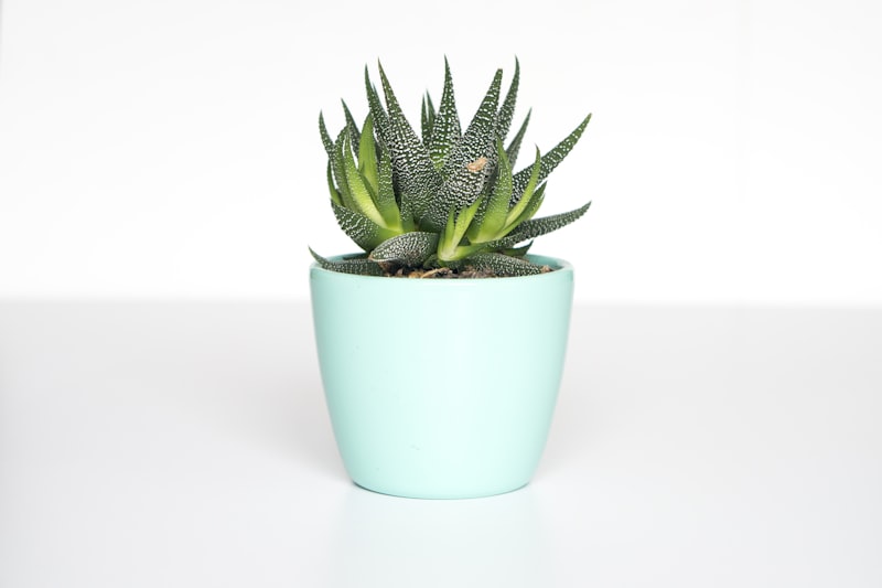 Oku Planter Set