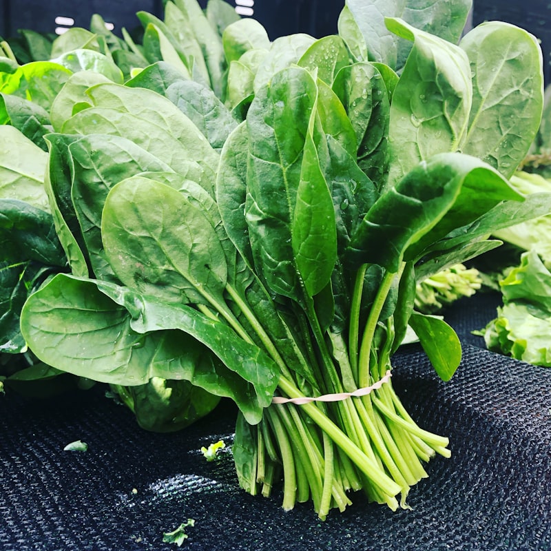 Organic Baby Spinach